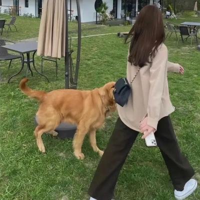无界之地